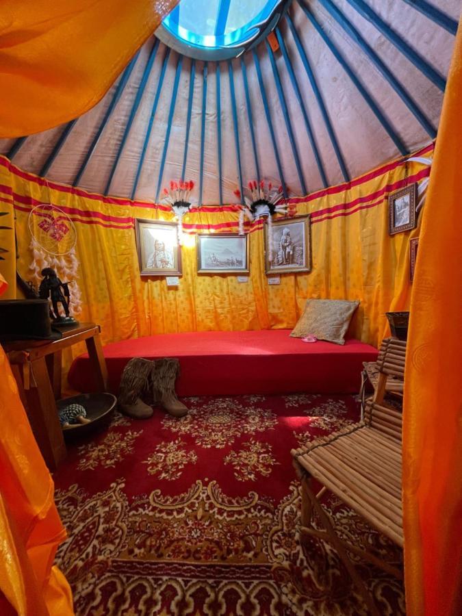 إيغل Crazy Lounge Bnb المظهر الخارجي الصورة