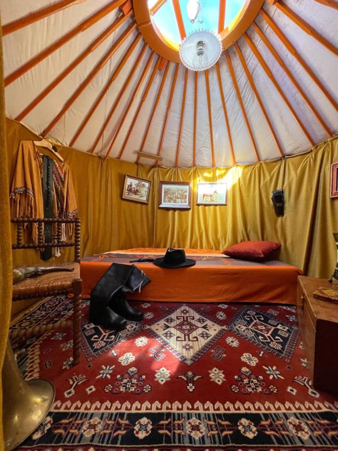 إيغل Crazy Lounge Bnb المظهر الخارجي الصورة